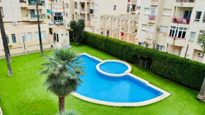 Palatino Albir
